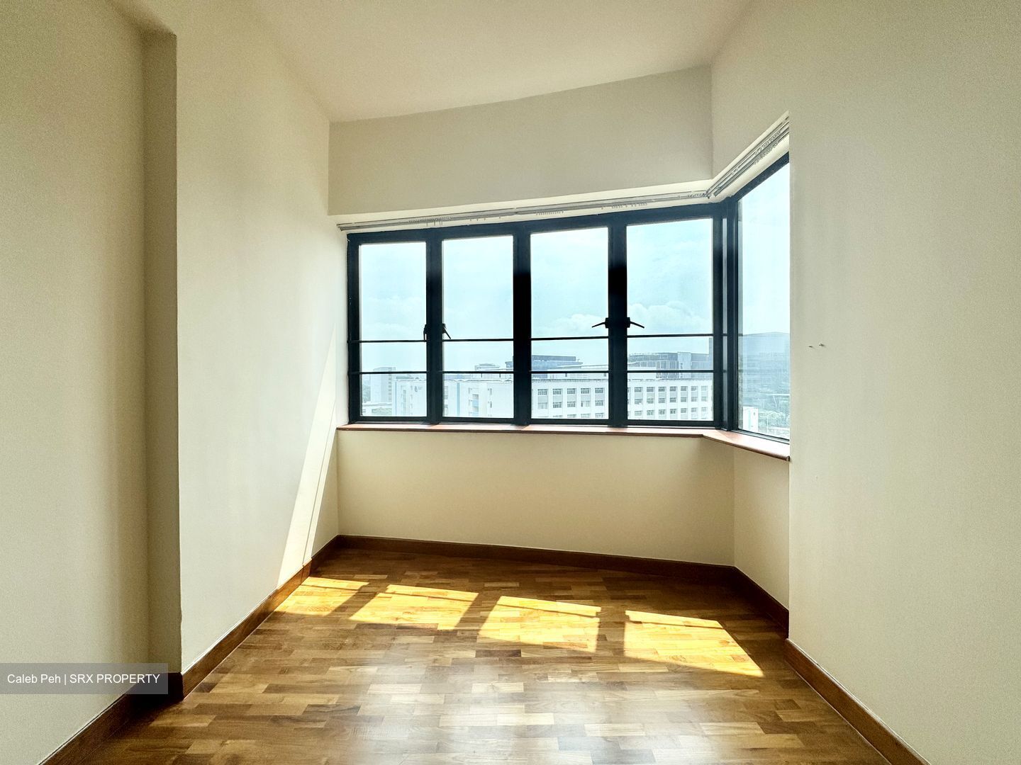 Simsville (D14), Condominium #583387201